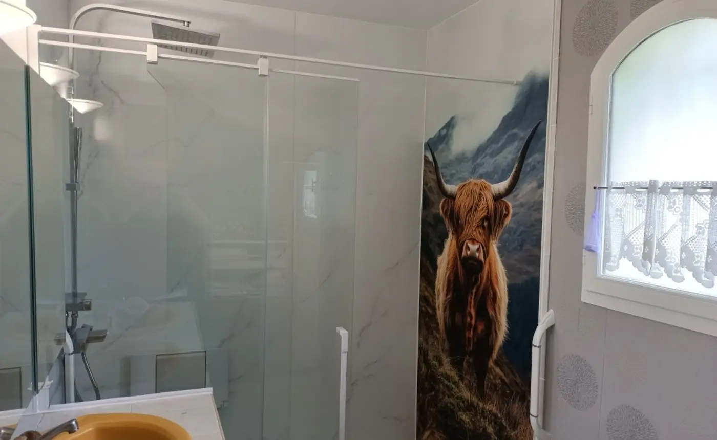 Douche terminée avec panneau décoratif